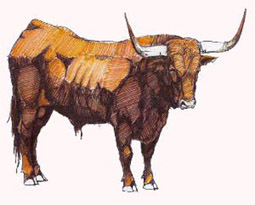 Toros y actualidad