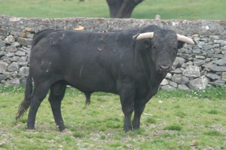 ATANAS11.JPG
