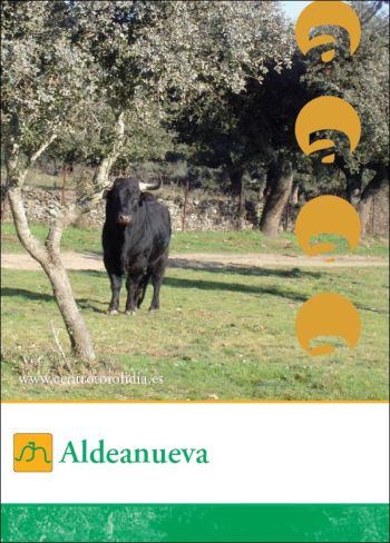Aldeanueva