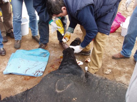 Curso_Patologia_desinfeccixn.jpg