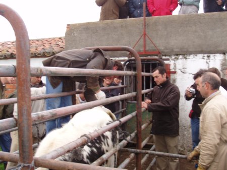 Curso_Patologia_epidural.jpg