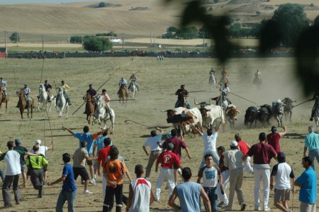 Fuentesauco_Luis_Gullon_009.jpg