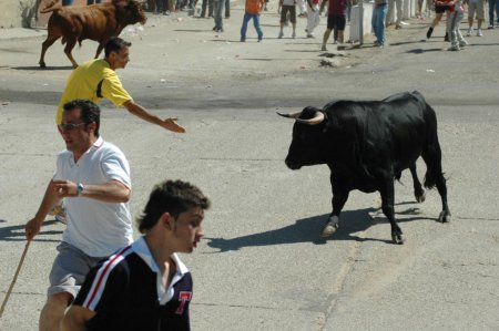 Fuentesauco_Luis_Gullon_015.jpg