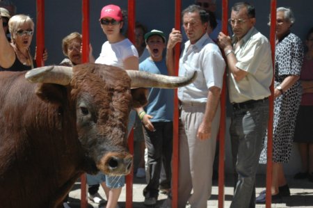 Fuentesauco_Luis_Gullon_033.jpg