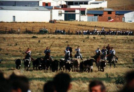 Fuentesauco_bertaromero1994espantea.jpg