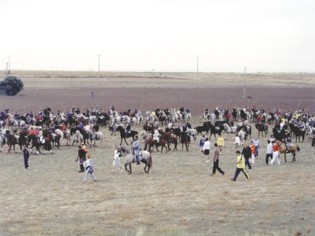 Medina_01.jpg