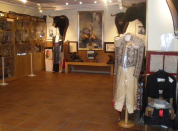 SALA LEGADO JULIO ROBLES