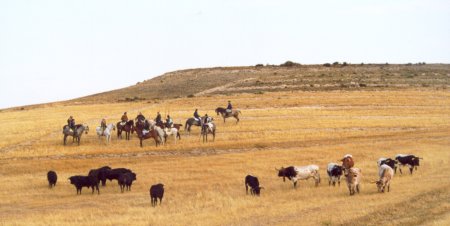 cuellar_05.jpg