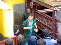curso_reproducc_practica_06