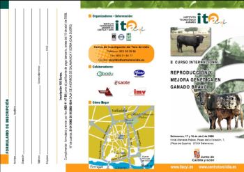 imagen1
