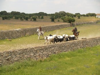 visita_chinos_56.JPG